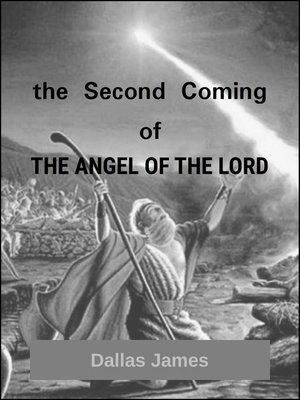 cover image of the Second Coming of the Angel of the Lord